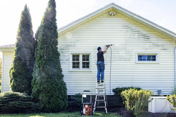 Best Fence Cleaning  in Ontonagon, MI